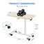 Shaunea Adjustable Standing Desk-708822809