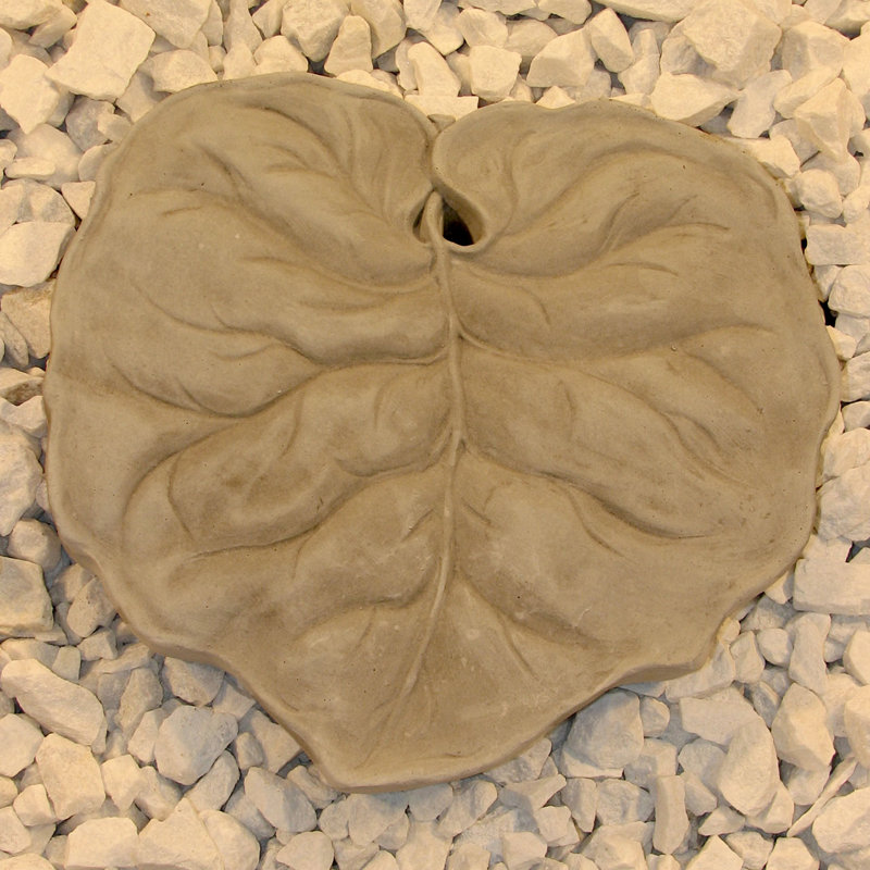 Feuille de pierre, Gris antique