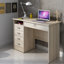 Gouge Computer Desk-38263702