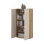 Taydem Standard Dresser / Chest Accent Chest