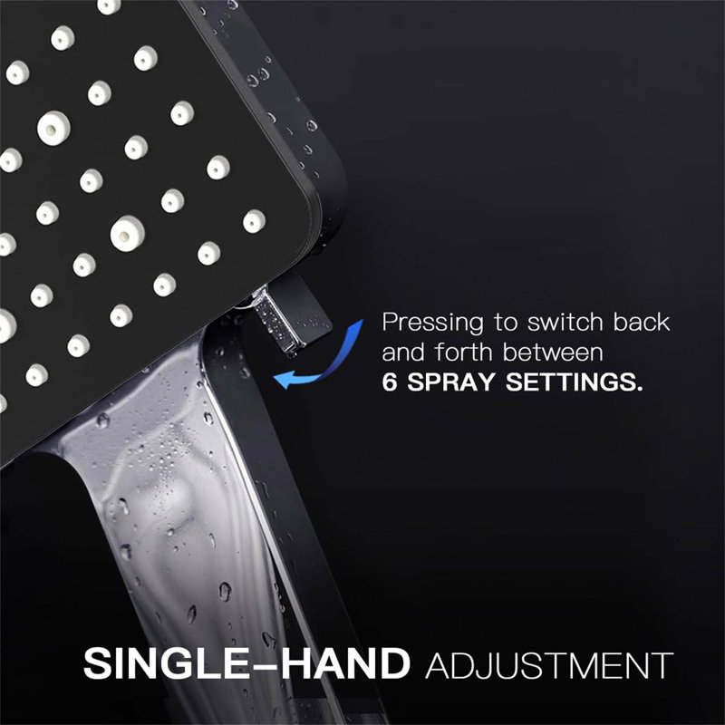 Handheld Shower Head, Silver/Matte Black