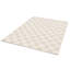Chequered Area Rug-1606612441