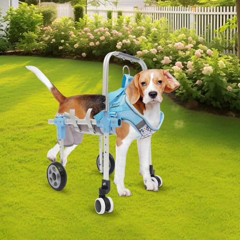 Fauteuil roulant pour chien Fauteuil roulant réglable pour les pattes arrière