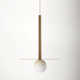 Single Light Metal Dimmable LED Pendant