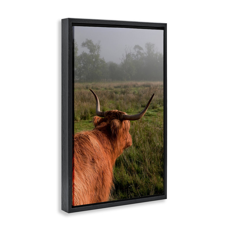 Cadre flottant Highland Cow Gazing Out, conception par Jenny Rainbow Fine Art, Cadre flottant noir de jais, H 25 po x l 17 po