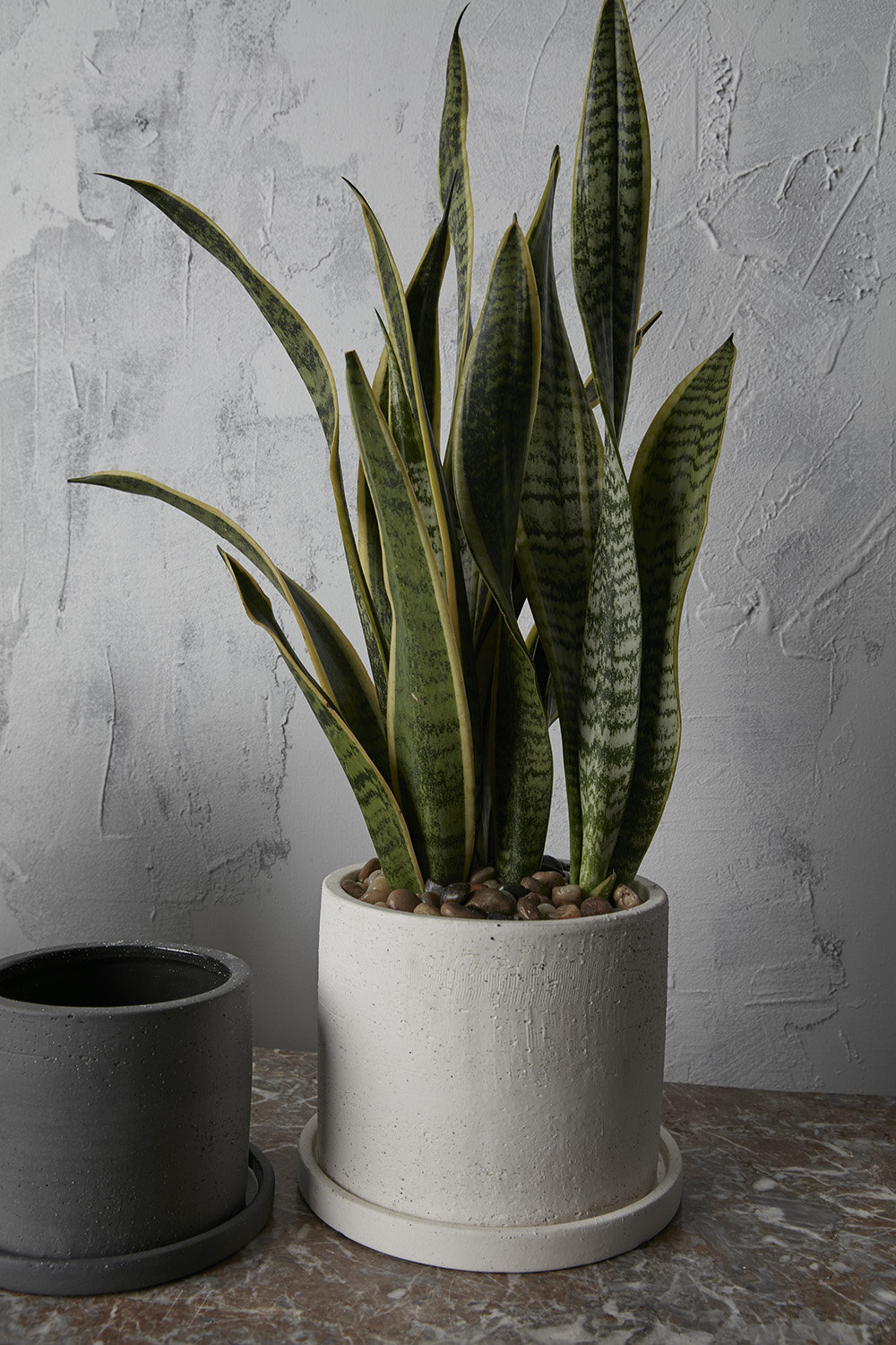 Alisha Handmade Ceramic Pot Planter, 6" H x 7.5" W x 7.5" D