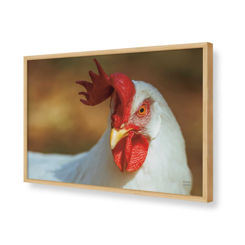 «Chicken in the Sun II» par Nathan Larson, reproduction d'art, H 32 po x l 48 po, Tanné