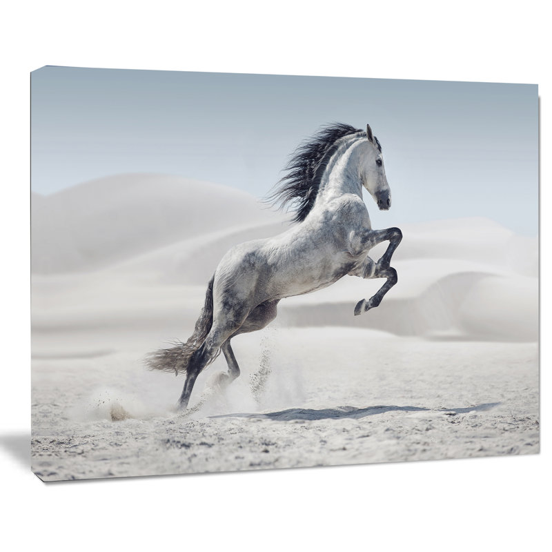Photographie d'un cheval blanc au galop, H 16 po x l 32 po x P 1 po, Toile tendue