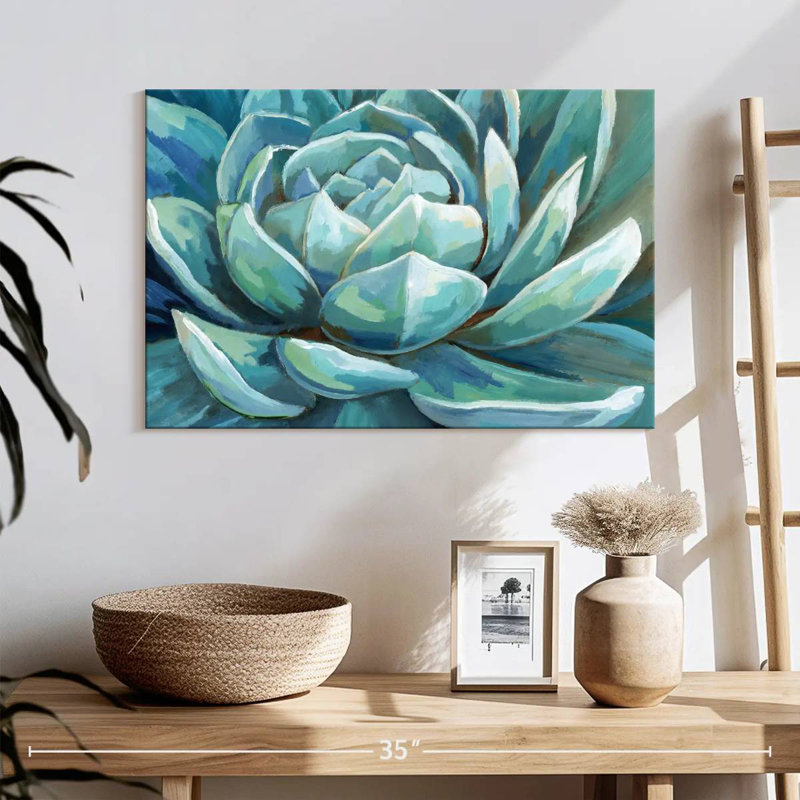 Plante grasse Harnek Cerulean, H 16 po x l 24 po