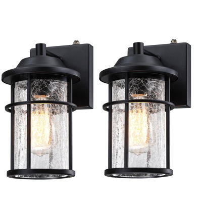 Anesicia Wall Light With Matte Black Finish