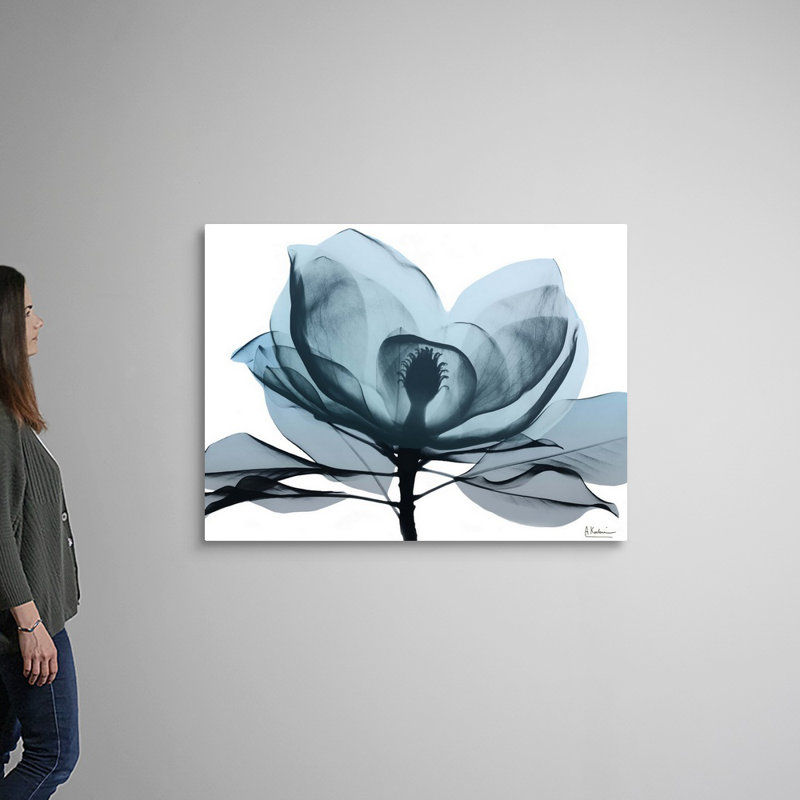 " Midnight Magnolia II " by Albert Koetsier, Wrapped Canvas, 36" H x 48" W x 1.25" D