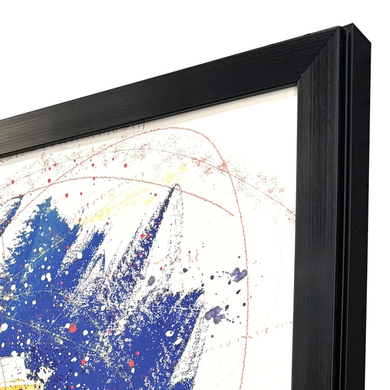Born to Fly Framed Art