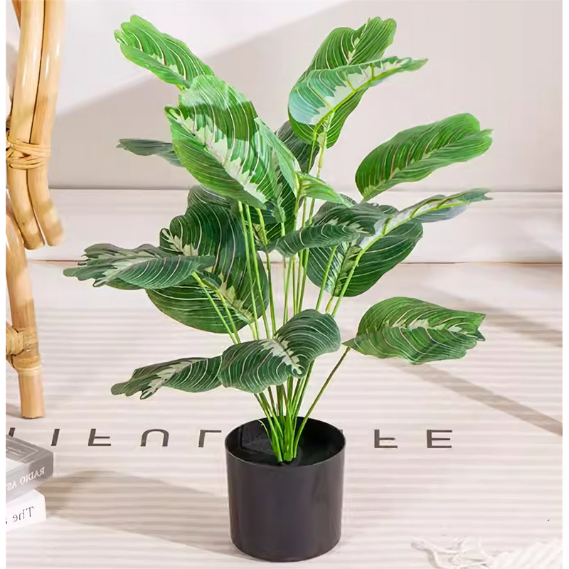 19,69 plante