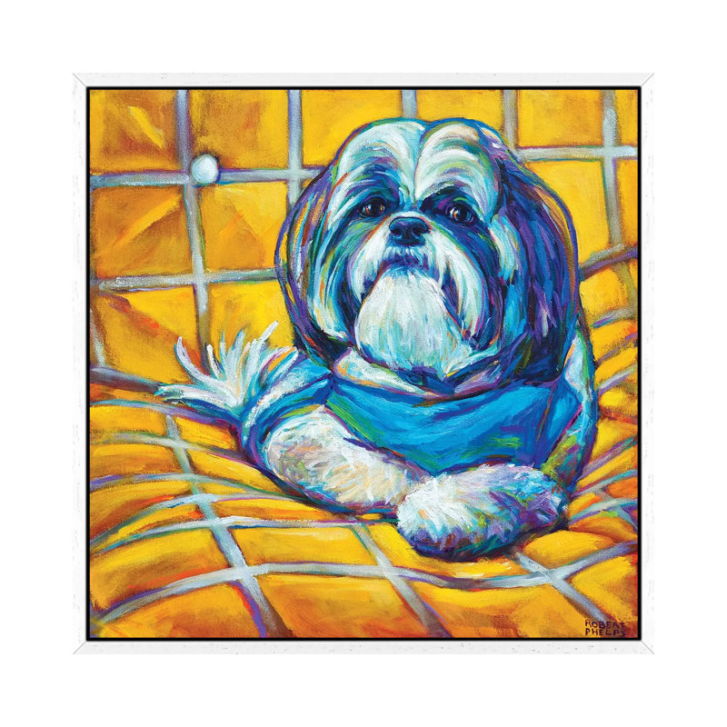 Shih Tzu by Robert Phelps - Print on Canvas, 66.04 cm H x 66.04 cm W, White Framed