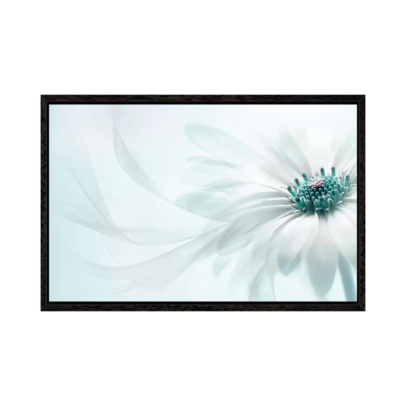 Purity - Print on Canvas, Black Framed, 101.6 cm H x 66.04 cm W