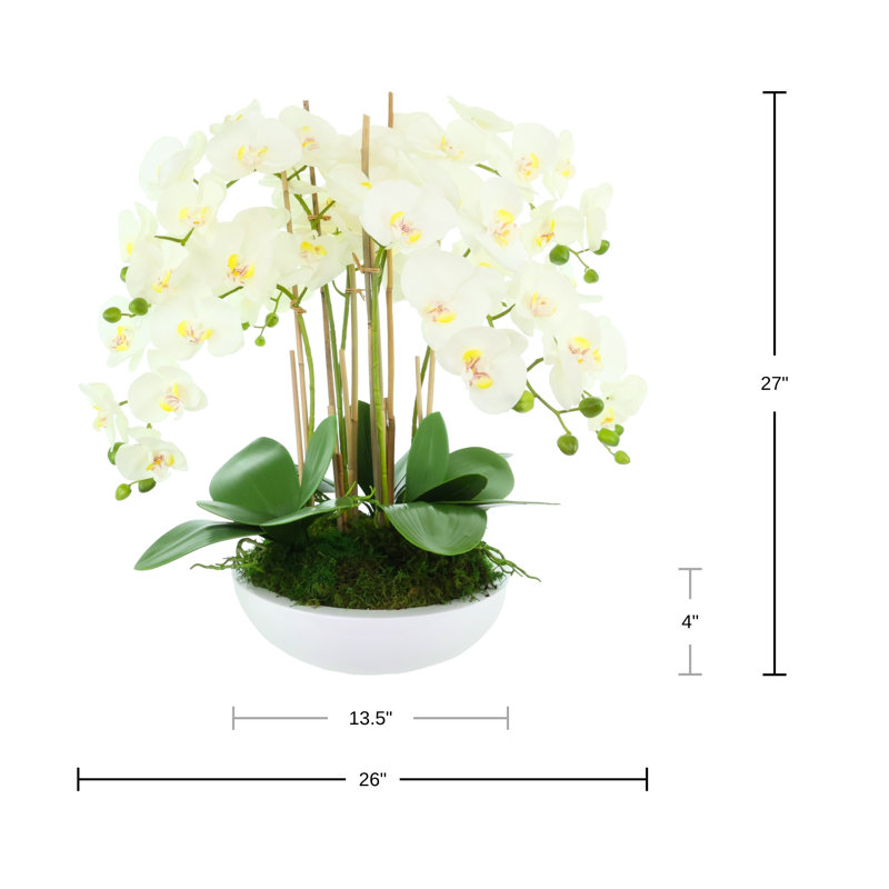 Orchid Arrangement in Round Fiberstone Pot, 27"H x 26"W x 26"D