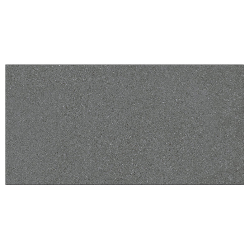 Carreau de porcelaine mat aspect béton 12 po x 24 po Nomad, Gris