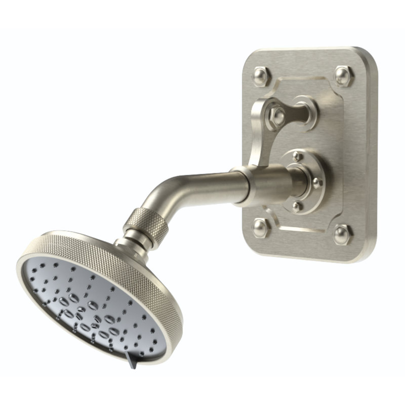 Argonaut Wall Mount Shower Head w/ Back Plate, Satin Nickel