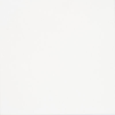 8 in. x 8 in. Honed Tile