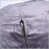 Velours gris velours