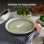 Electric Plate Warmer