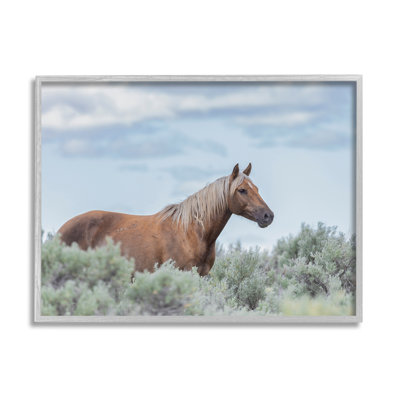 " Stallion Horse Among Bushes Clear Sky "