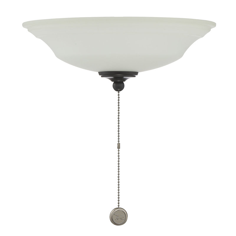 Ensemble d'éclairage pour ventilateur de plafond à 2 lumières Mcginley, Noir mat