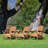 Plastic Folding Adirondack Chair with Adjustable Backrest-1013810293