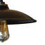 Luminaire suspendu d'extérieur 1 lumière Alban
