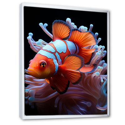 Portrait de poisson clown orange - Décoration murale plage et océan