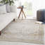 Tapis oriental gris / beige Lynnette-467703096