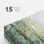 «Sunlight Sunshine Summer Forest Trees» sur-99141719-99141716