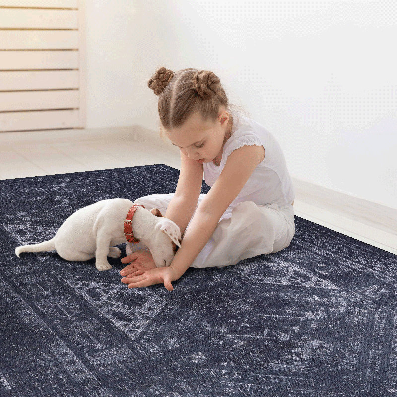 MAVAL Black Washable Rug 5X8 Area Rug (Black+Gray, 5' X 8'), Black/Gray, Rectangle 5' x 8'