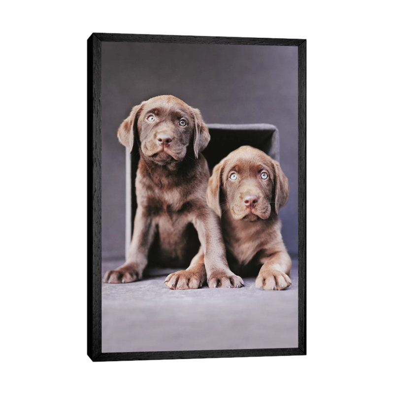 Yardan And Yosemite by Rachael Hale - Print on Canvas, 66.04 cm H x 45.72 cm W, Black Framed