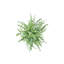 Plante artificielle, ensemble de 2, 16 po de hauteur, herbe d'eucalyptus, table, pots blancs, contemporain, moderne