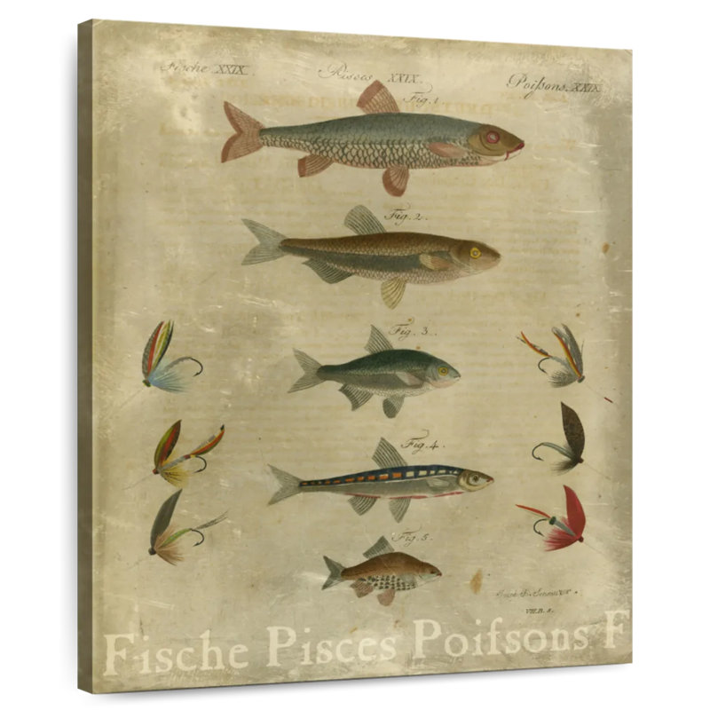 Poissons, composition I, H 10 po x l 8 po
