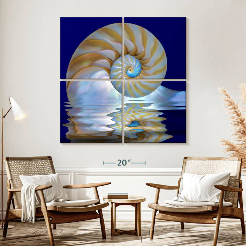 Aletra Nautilus Shell On Water