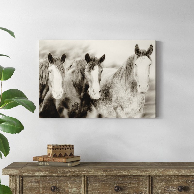 Three Amigos II by PHBurchett - Photograph, 61cm H x 91cm W, Wrapped Canvas