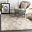 Blaney Oriental Indoor Rug-777556849