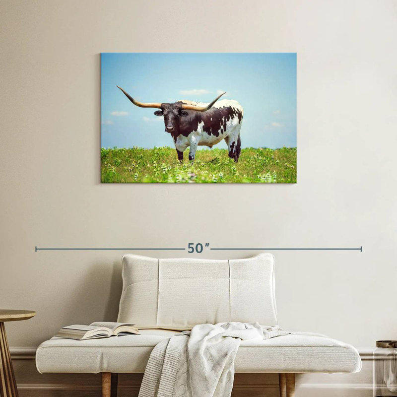 Brampt Longhorn Steer, 24" H x 36" W