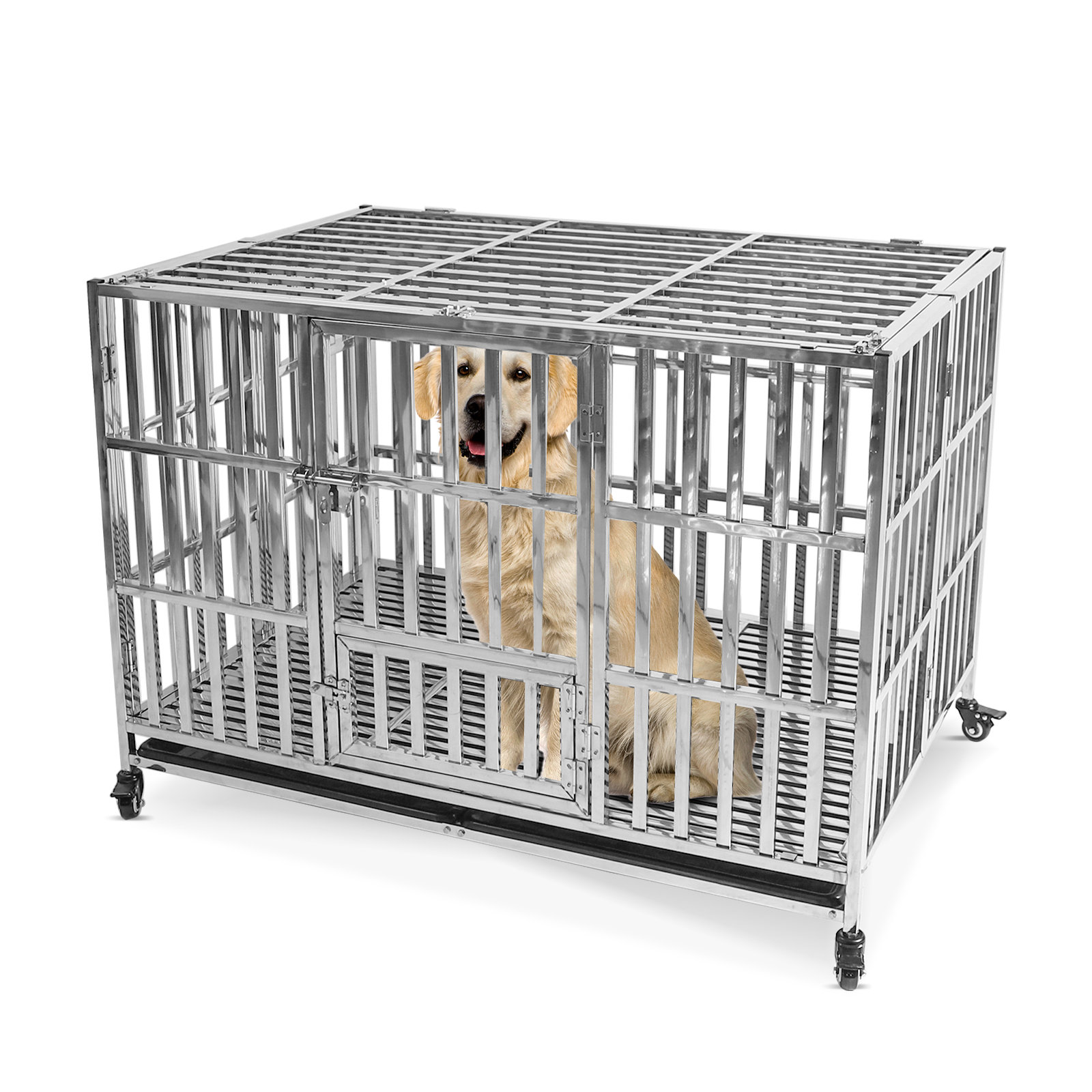 Stainless dog clearance kennel