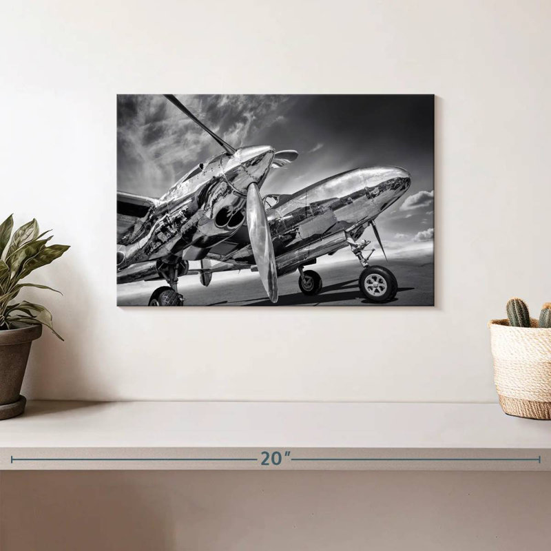 Mehar Monochrome Silver Plane, 8" H x 12" W