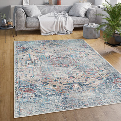 Solveg Oriental Area Rug