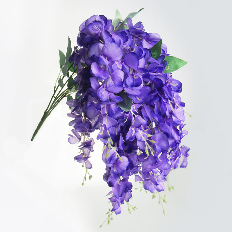 Tige de glycine suspendue, Mauve