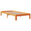 Storage Bed-111024353-111024359