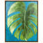Tropical Split I-521548363-521548366-521548403