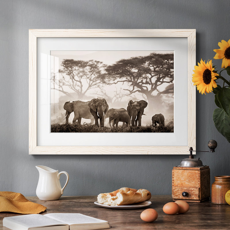 Parc national Amboseli, Blanc, H 14 po x l 20 po x P 1,5 po