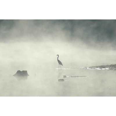 Décalcomanie murale brouillard