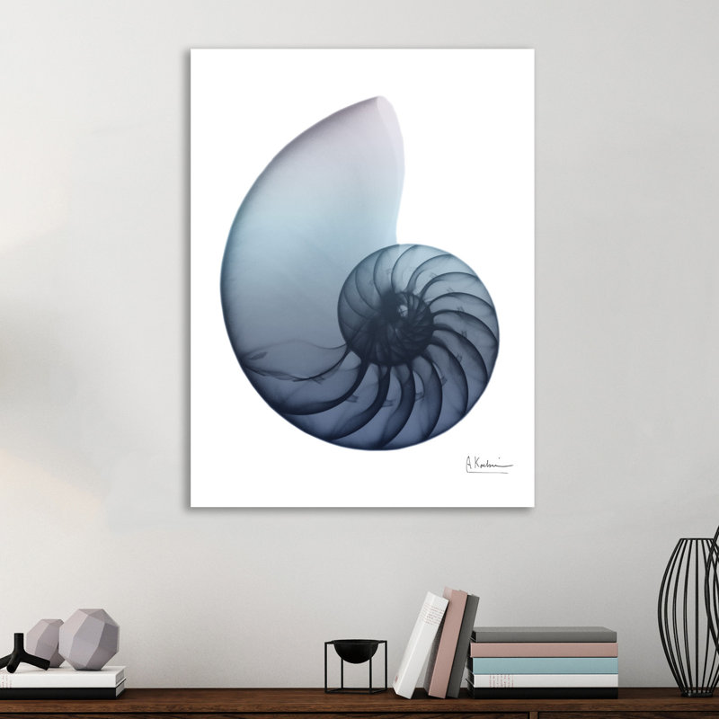 Lavendar Snail 4 1 Piece Wrapped Canvas Wall Art, 41 cm H x 30 cm W
