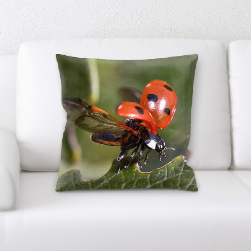 Coussin coccinelle